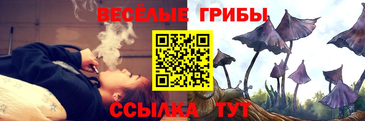 Балашиха  Псилоцибиновые грибы мухоморы  Вход с VPN 