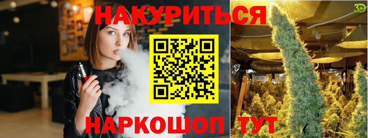 Каннабис план  Бошки Шишки семена  Шишки марихуана OG Kush  Балашиха  Вход с VPN  Марихуана Amnesia 
